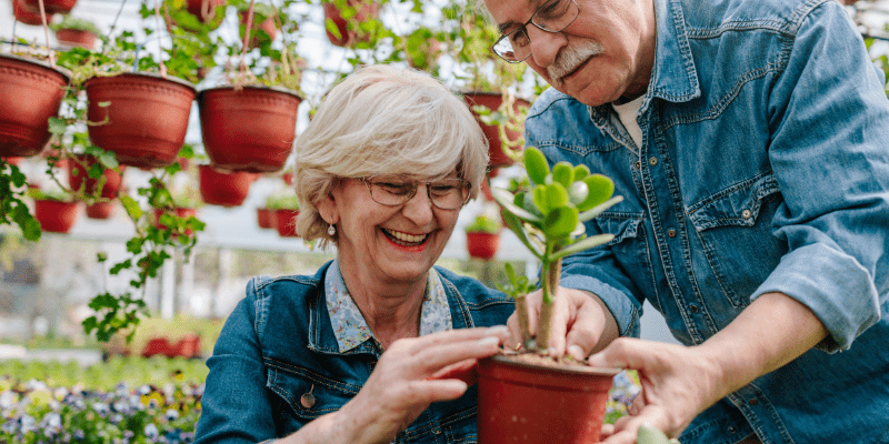 How Gardening Can Help Seniors Stay Active